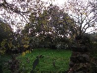 Grotta_delle_Fate - 20110102 052.jpg